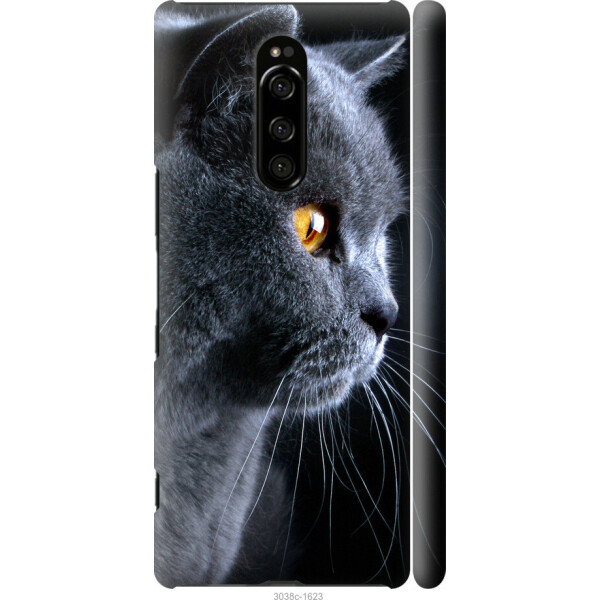 

на Sony Xperia 1 J9110 Красивый кот
