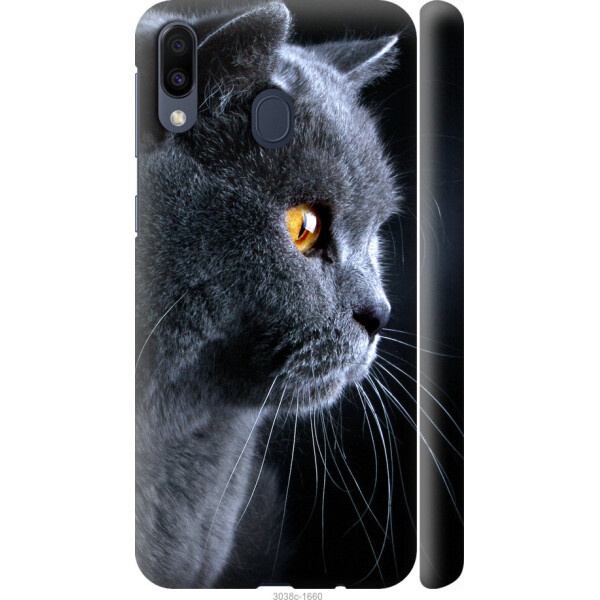 

на Samsung Galaxy M20 Красивый кот