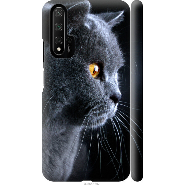 

на Huawei Honor 20 Красивый кот