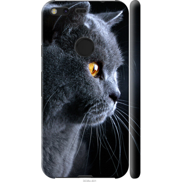 

на Google Pixel XL Красивый кот