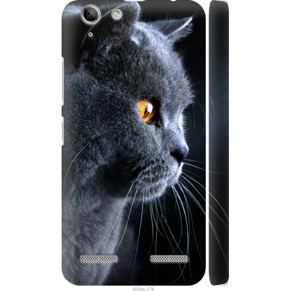 

на Lenovo K5 Plus Красивый кот