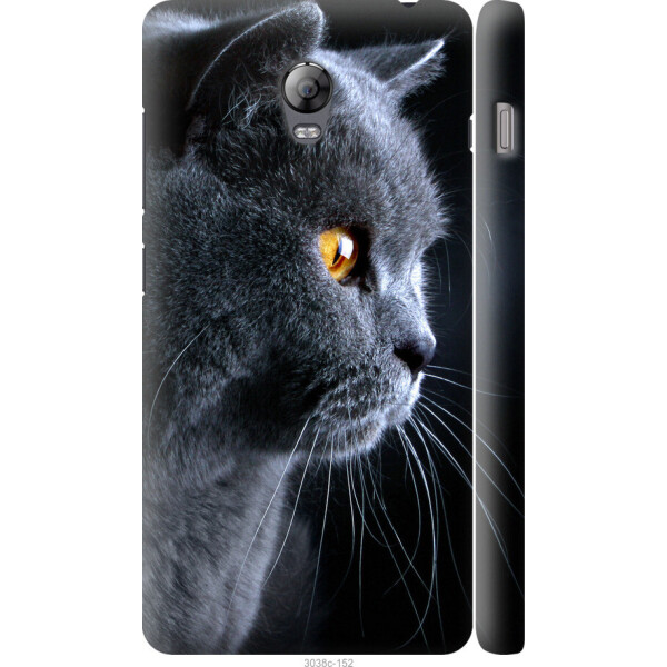 

на Lenovo Vibe P1 Красивый кот