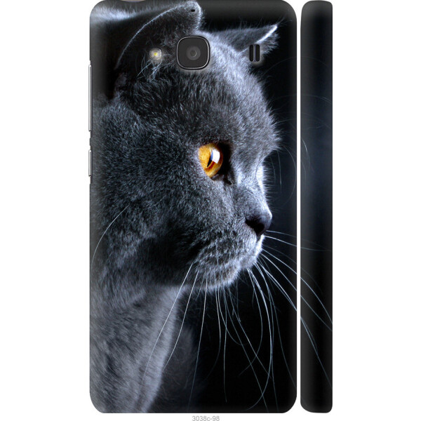 

на Xiaomi Redmi 2 Красивый кот