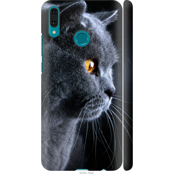 

на Huawei Y9 2019 Красивый кот