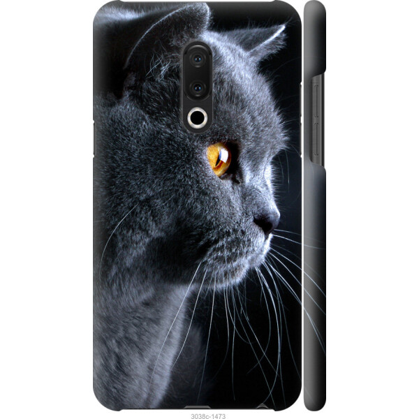 

на Meizu 15 Plus Красивый кот
