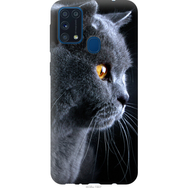 

на Samsung Galaxy M31 M315F Красивый кот