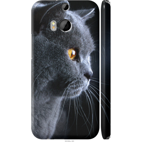 

на HTC One M8 Красивый кот