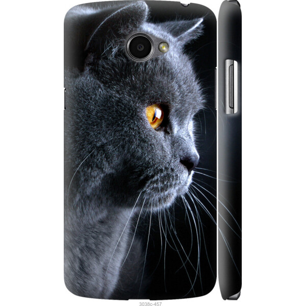 

на LG K5 X220 Красивый кот