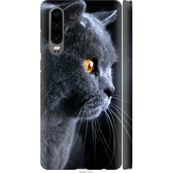 

на Huawei P30 Красивый кот