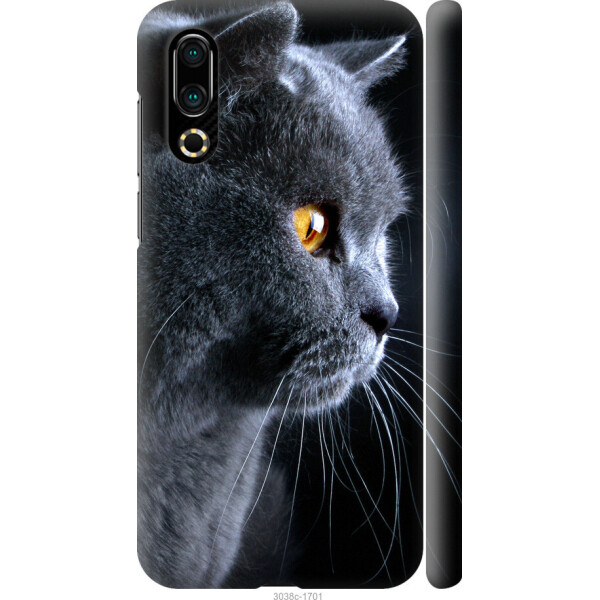 

на Meizu 16S Красивый кот