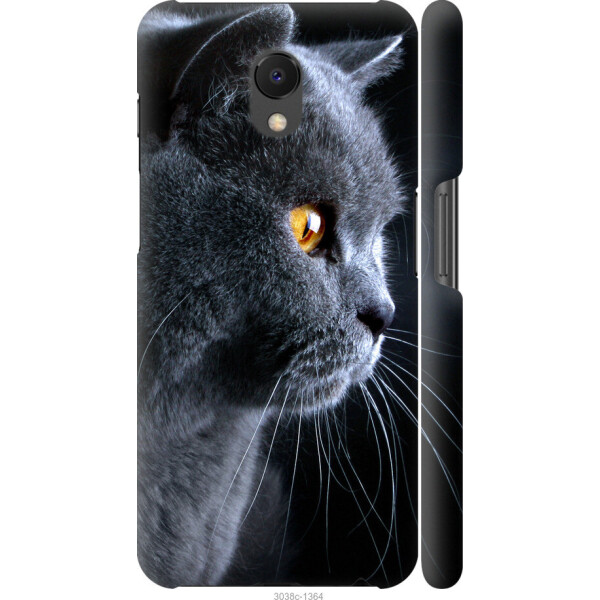 

на Meizu M6s Красивый кот