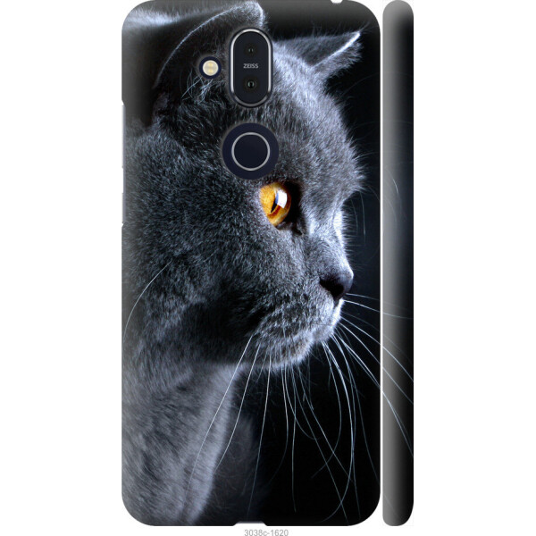 

на Nokia 8.1 Красивый кот