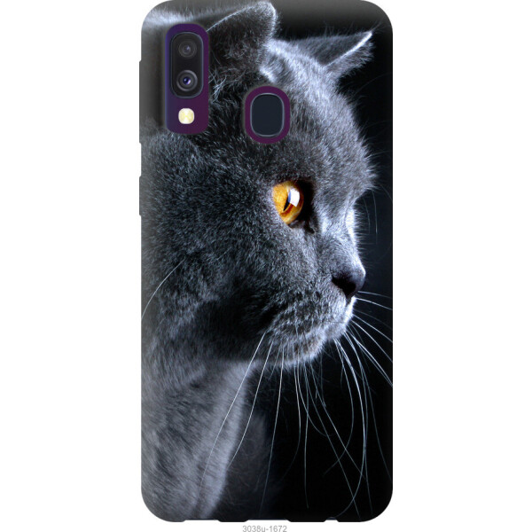 

на Samsung Galaxy A40 2019 A405F Красивый кот
