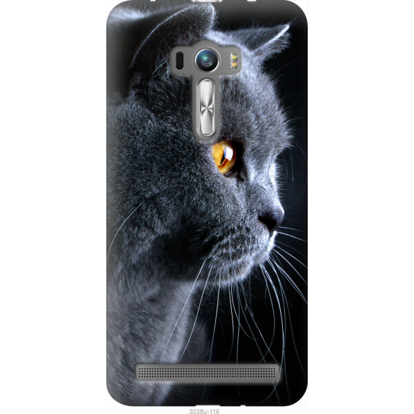 

на Asus ZenFone Selfie ZD551KL Красивый кот