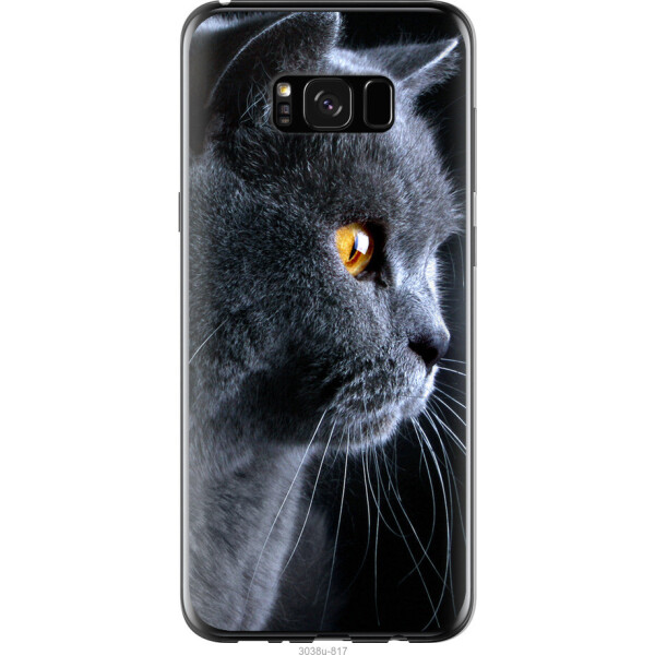 

на Samsung Galaxy S8 Plus Красивый кот