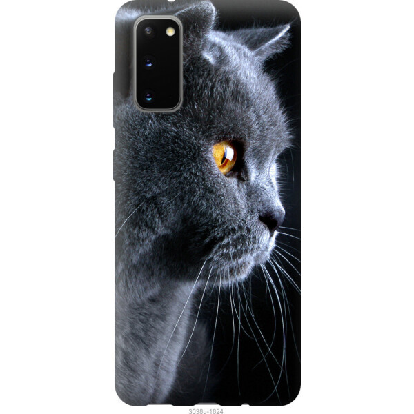 

на Samsung Galaxy S20 Красивый кот