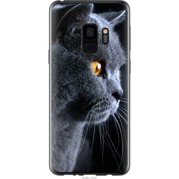 

на Samsung Galaxy S9 Красивый кот
