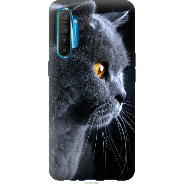 

на Realme XT Красивый кот
