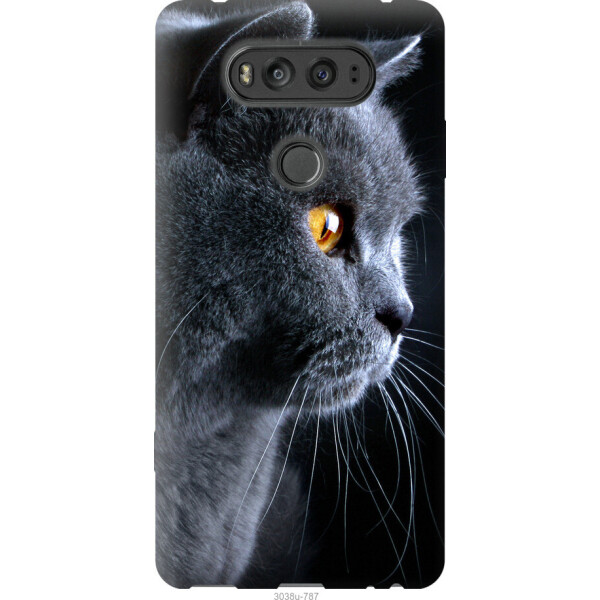 

на LG V20 Красивый кот
