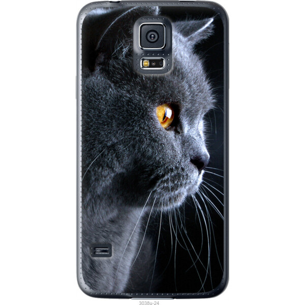 

Чехол на Samsung Galaxy S5 Duos SM G900FD Красивый кот