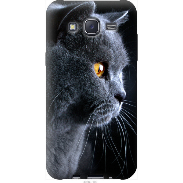 

Чехол на Samsung Galaxy J5 (2015) J500H Красивый кот