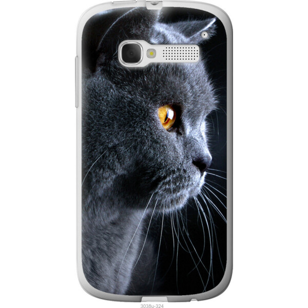

Чехол на Alcatel One Touch Pop C5 5036D Красивый кот