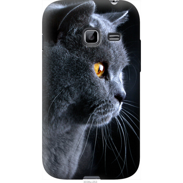 

Чехол на Samsung Galaxy Ace Duos S6802 Красивый кот