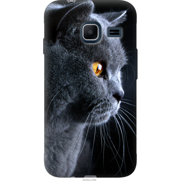 

Чехол на Samsung Galaxy J1 Mini J105H Красивый кот
