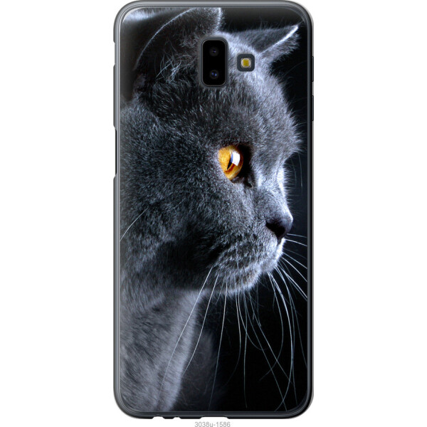 

Чехол на Samsung Galaxy J6 Plus 2018 Красивый кот