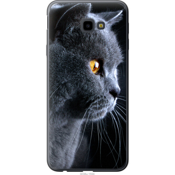 

Чехол на Samsung Galaxy J4 Plus 2018 Красивый кот