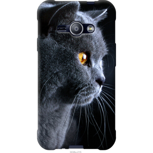 

Чехол на Samsung Galaxy J1 Ace J110H Красивый кот