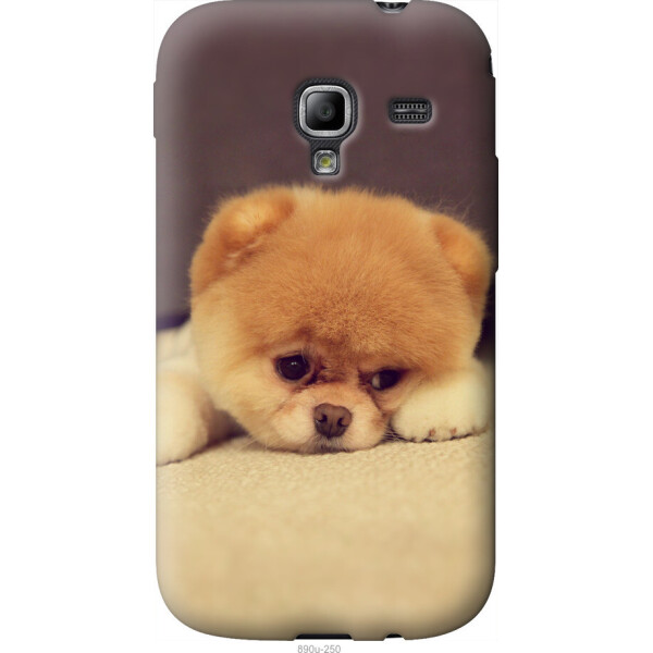 

Чехол на Samsung Galaxy Ace 2 I8160 Boo 2