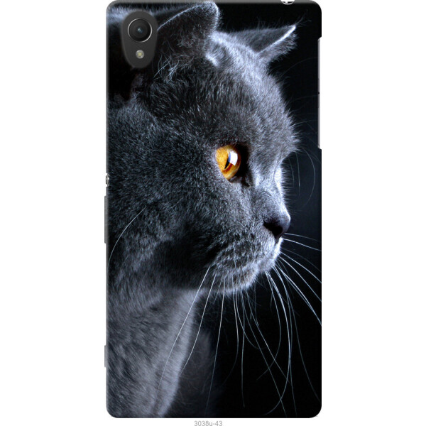 

Чехол на Sony Xperia Z2 D6502/D6503 Красивый кот