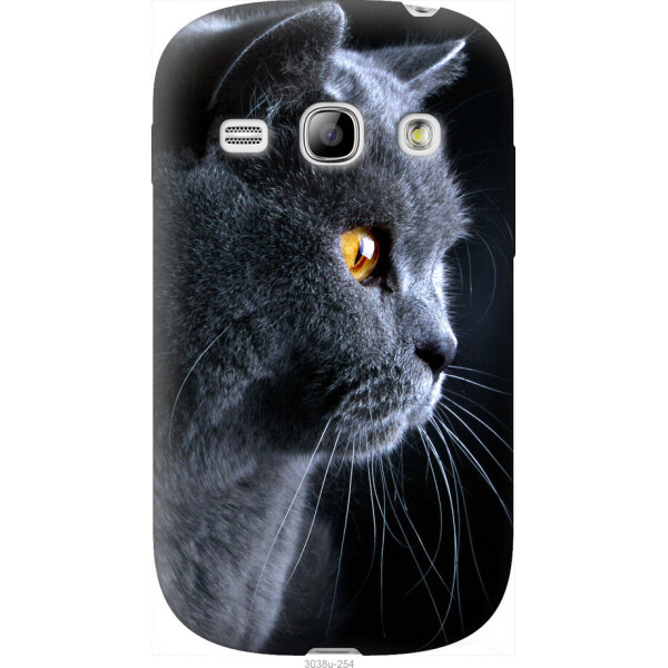 

Чехол на Samsung Galaxy Fame S6810 Красивый кот