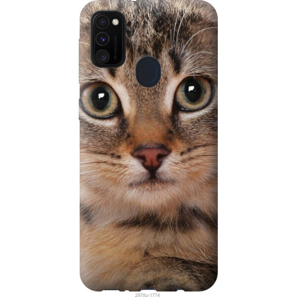 

Чехол на Samsung Galaxy M21 M215F Полосатый котик