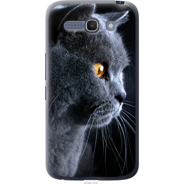 

Чехол на Alcatel One Touch POP C9 Красивый кот