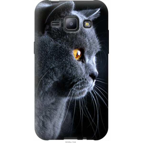 

Чехол на Samsung Galaxy J1 J100H Красивый кот