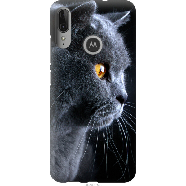 

Чехол на Motorola Moto E6 Plus Красивый кот