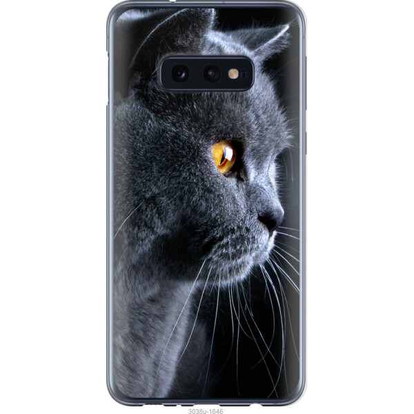 

Чехол на Samsung Galaxy S10e Красивый кот