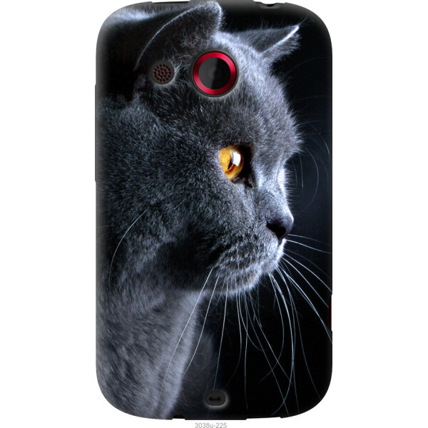 

Чехол на HTC Desire C A320e Красивый кот