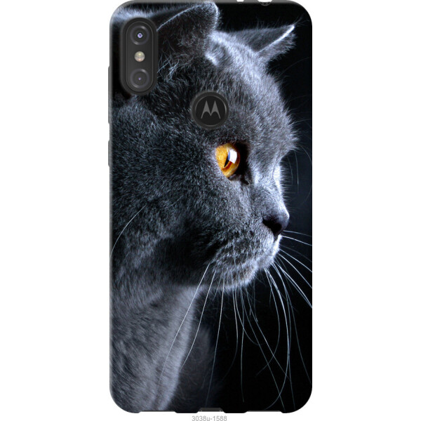 

Чехол на Motorola One Power Красивый кот