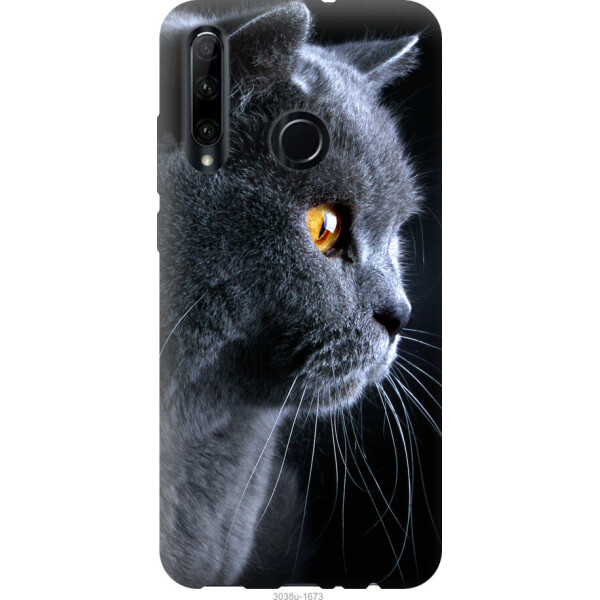 

Чехол на Huawei Honor 10i Красивый кот