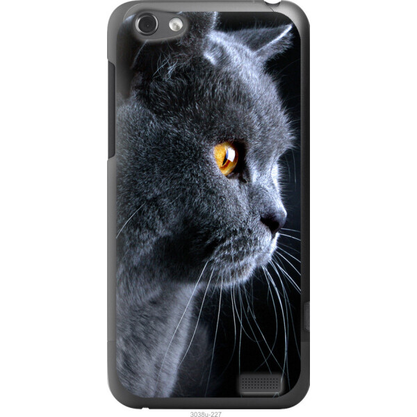 

Чехол на HTC One V t320e Красивый кот