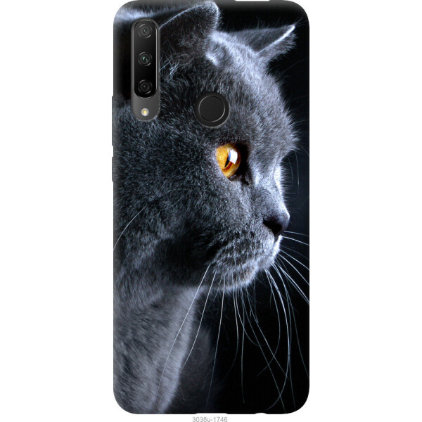 

Чехол на Huawei Honor 9X Красивый кот