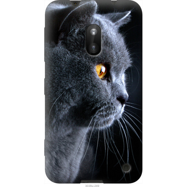 

Чехол на Nokia Lumia 620 Красивый кот