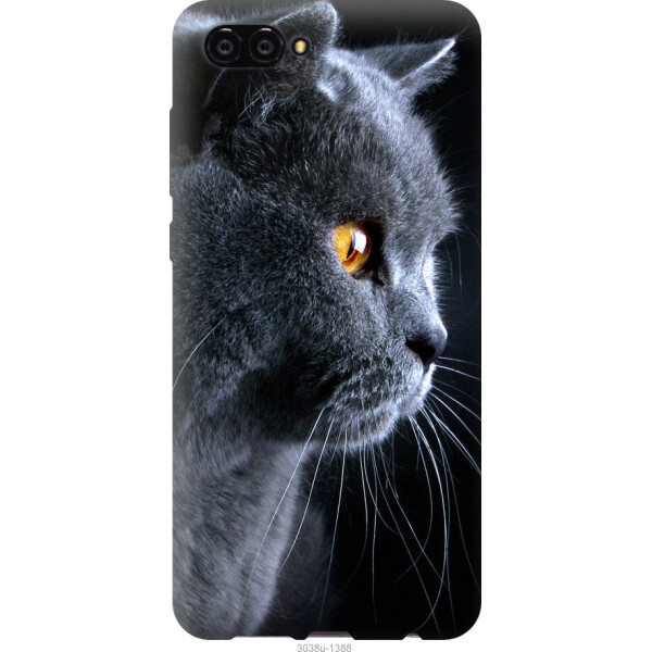 

Чехол на Huawei Nova 2S Красивый кот