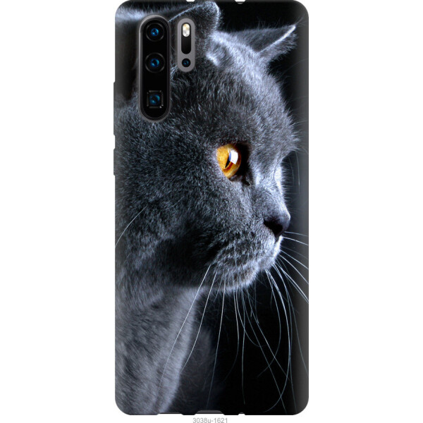 

Чехол на Huawei P30 Pro Красивый кот