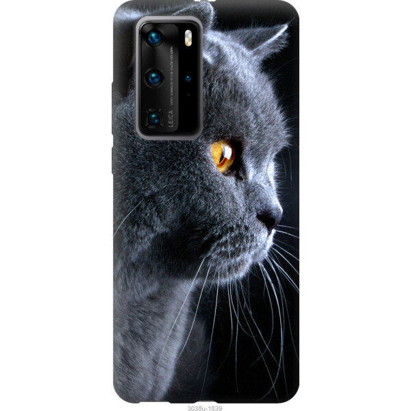 

Чехол на Huawei P40 Pro Красивый кот