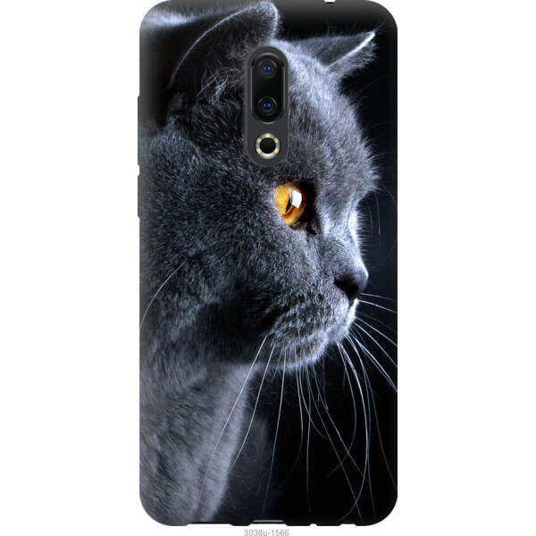 

Чехол на Meizu 16 Plus Красивый кот