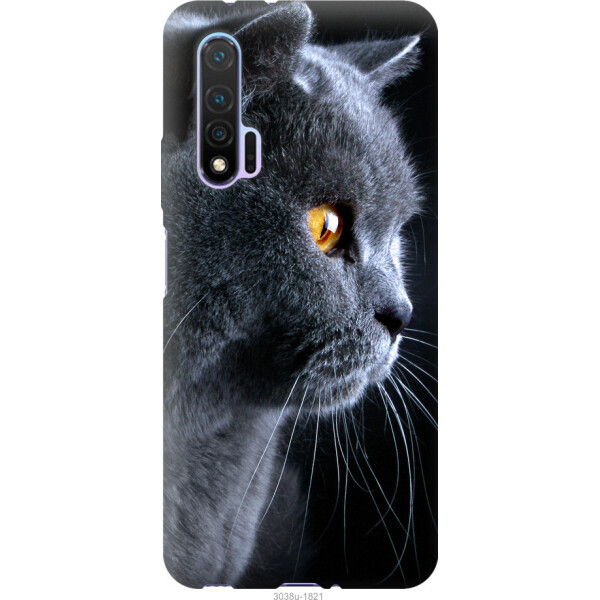 

Чехол на Huawei Nova 6 Красивый кот